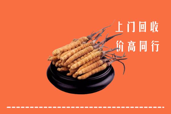 高价求购：云阳县回收散虫草